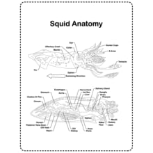 Small manufacture image 11