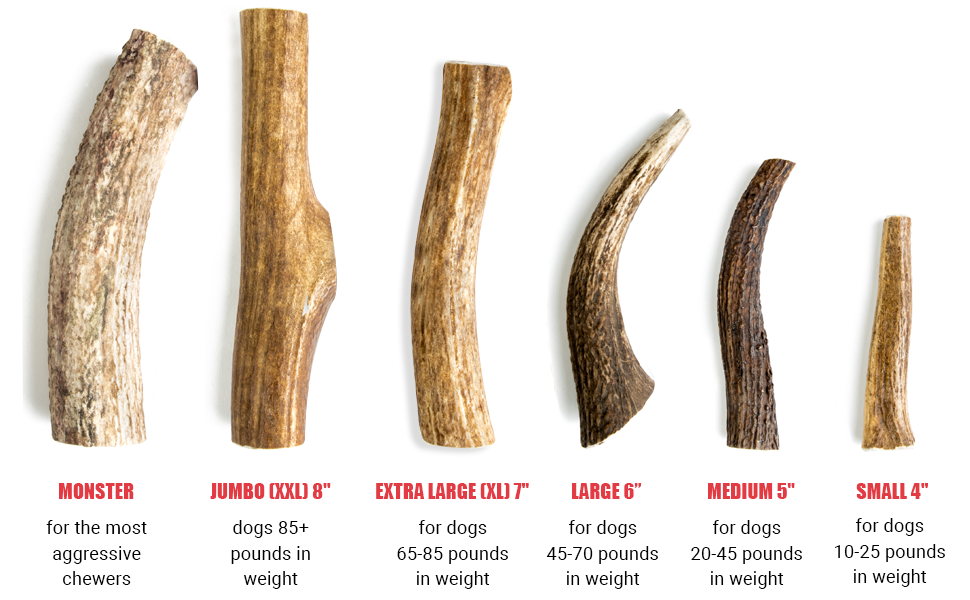 Devil Dog Pet Co Antler Dog Chew Premium Elk Antlers for