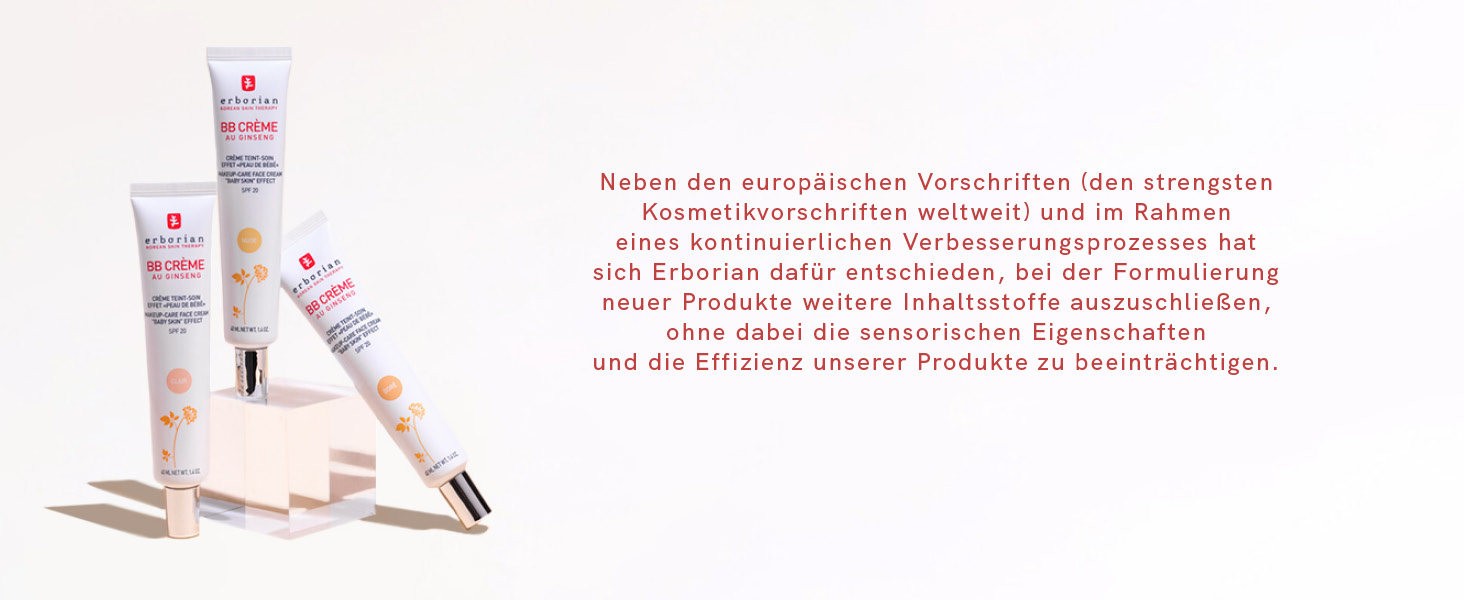 Formulierungscharta