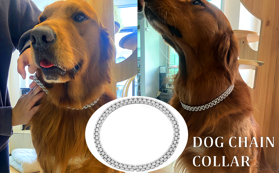 FASDECON Gold Dog Chain Collar Diamond Cuban Collar Walking Metal Chain Collar with