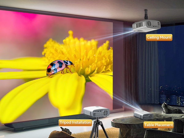 projector with wifi and bluetooth