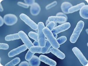 Effortless Gut Health Support