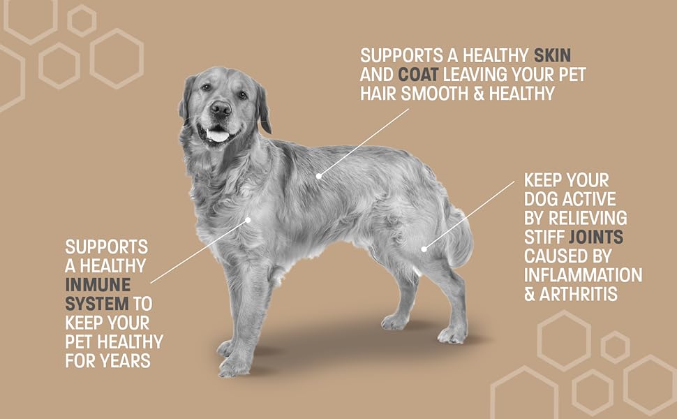 apoquel dog ultra skin supplement immune bites anti itch pawfy itching mg pills hair supplements