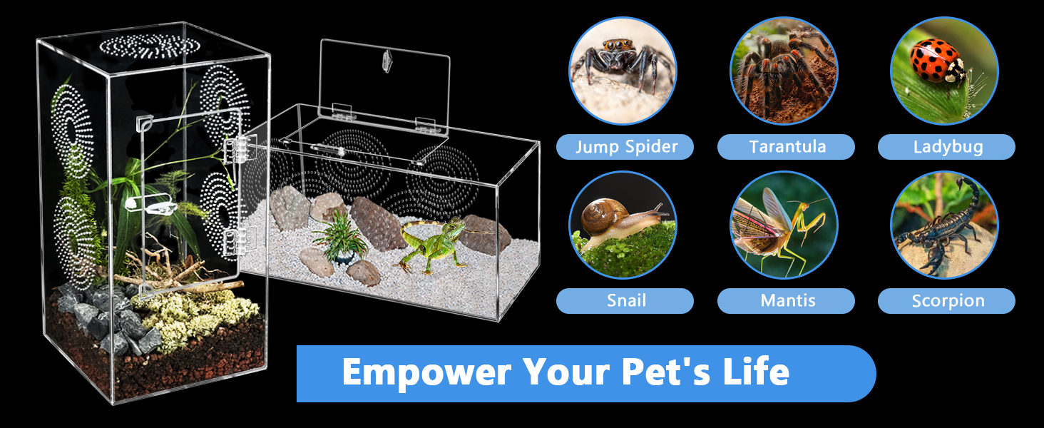 Jumping Spider Enclosure 4-1464 600 Empower Your Pet`s Life