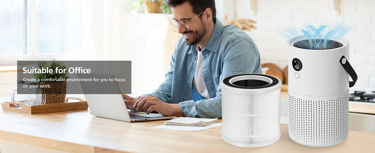 2 Pack True HEPA Replacement Filters ONLY Compatible with