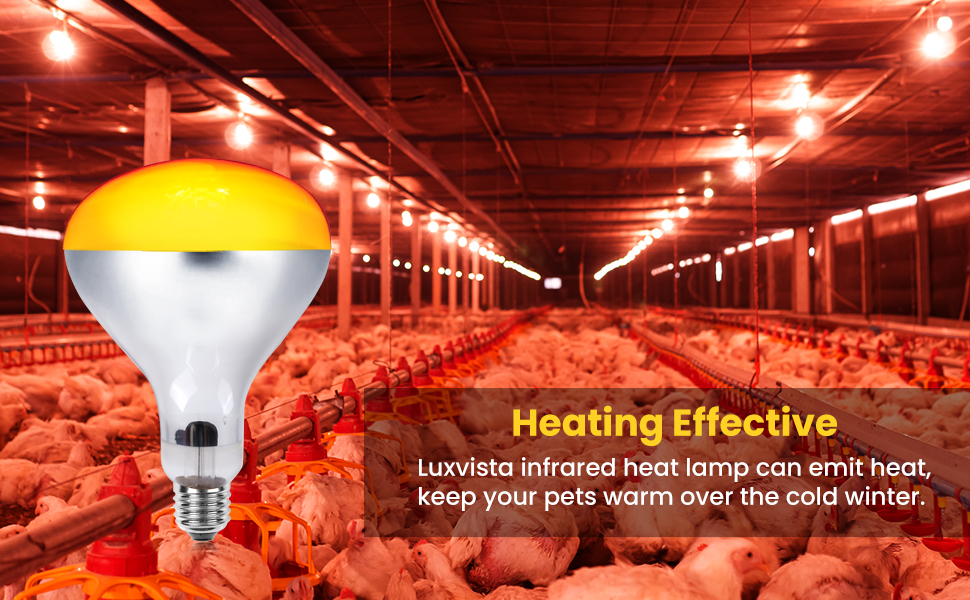 Luxvista E27 Infrared Heat Bulb 250W Dimmable Reptile Heat Lamp Bulb