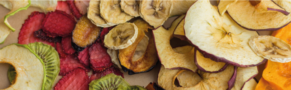 Dörrautomat mit Temperaturregler - Edelstahl Dörrgerät für Lebensmittel Fleisch Früchte Gemüse