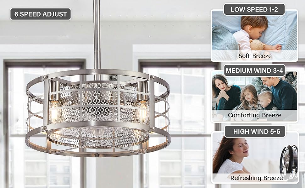 Doltoro Caged Ceiling Fans with Lights and Remote, Modern Flush Mount