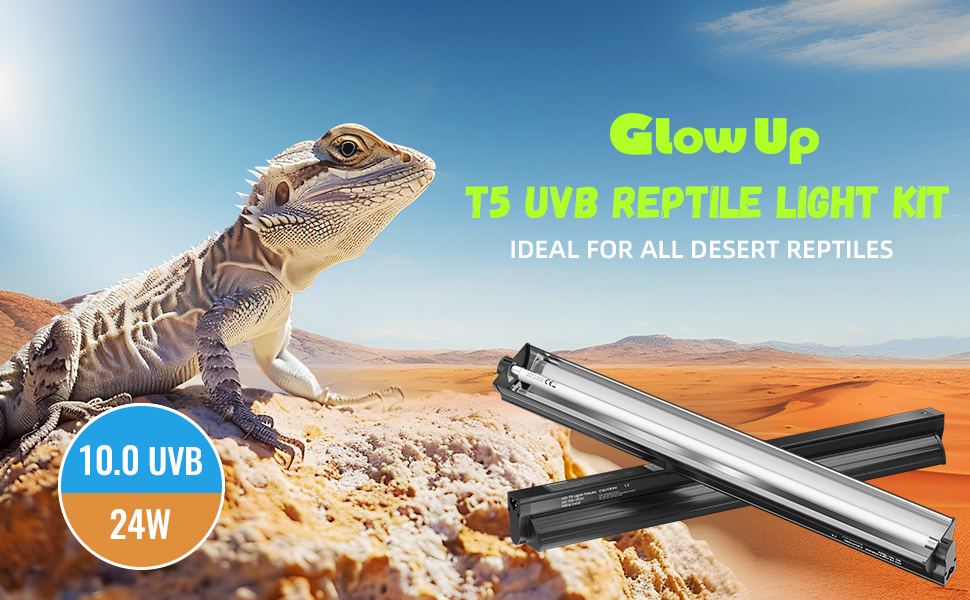 10.0 UVB Reptile Lamp
