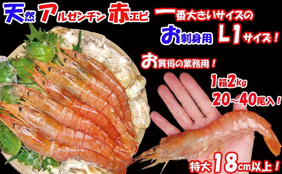 Amazon.co.jp: 特大18cm以上 刺身用 天然 アルゼンチンエビ 海老