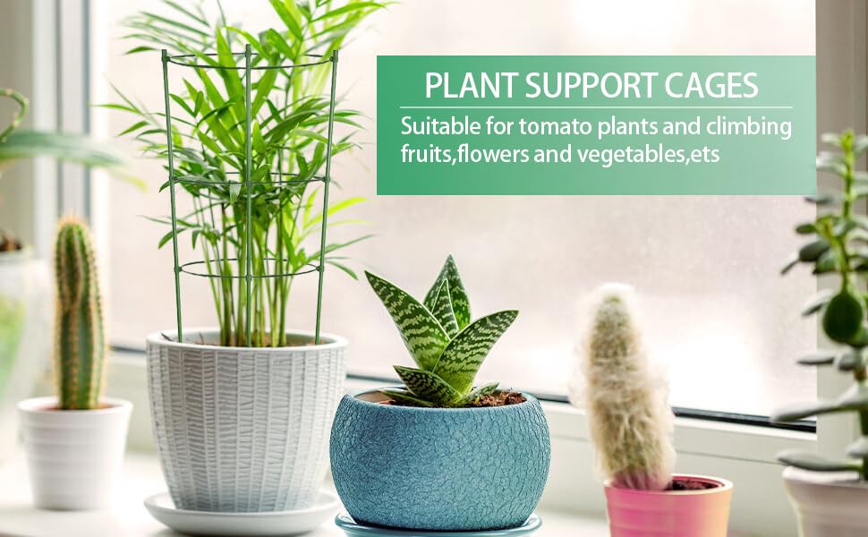 tomato plant support