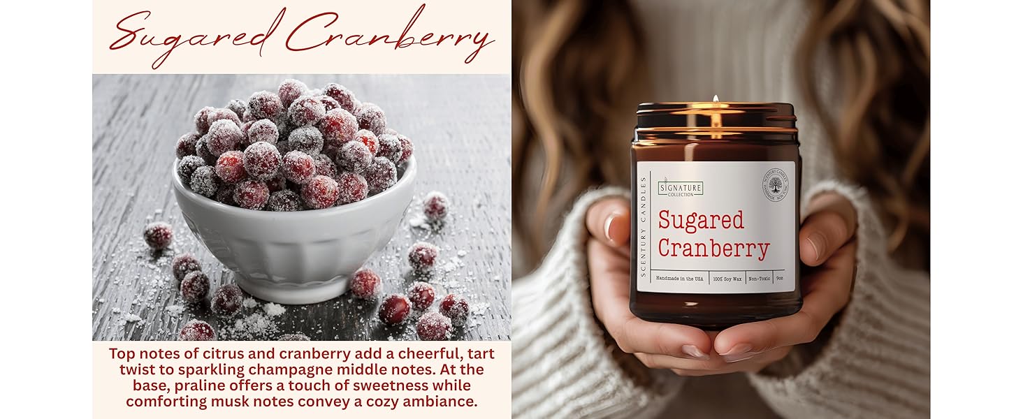 cranberry fall autumn christmas winter holiday halloween thanksgiving holiday scent candle fragrance