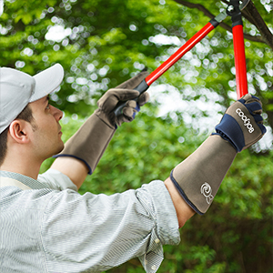 Versatile for Home Improvement