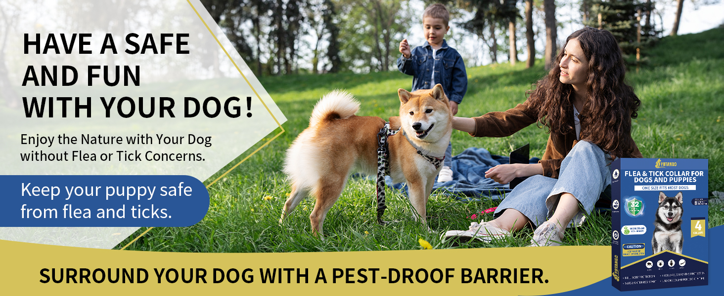 flea and tick collar for dogs