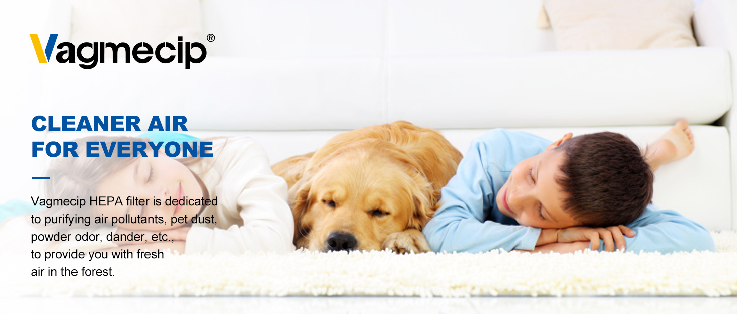 Vagmecip Hepa Replacement Filter