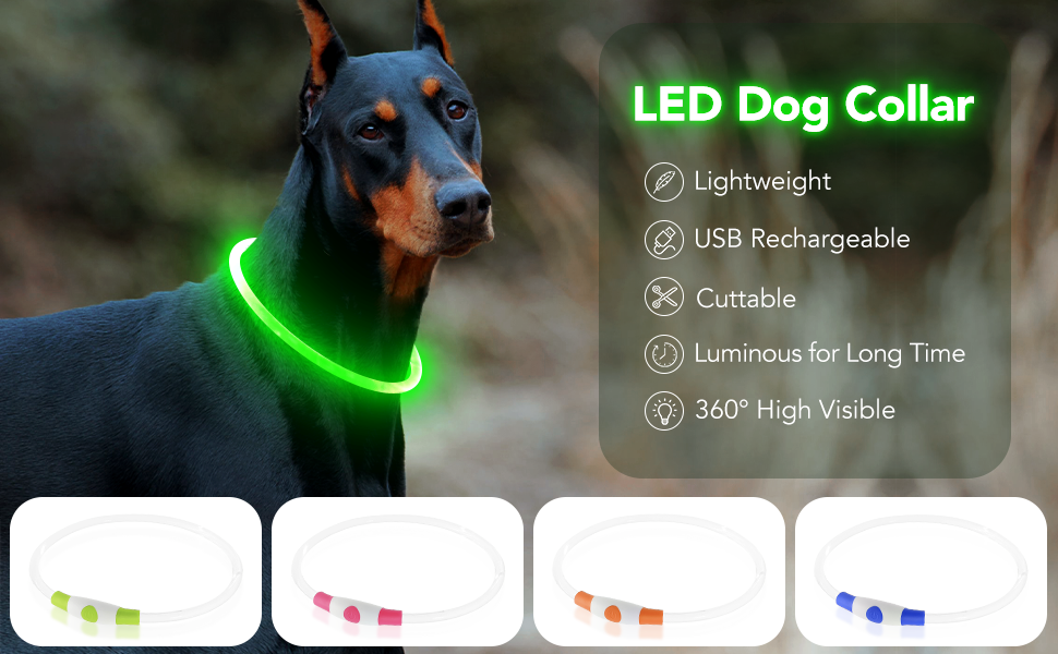 PZRLit Light Up Dog Collars Light Rechargeable Waterproof LED Dog