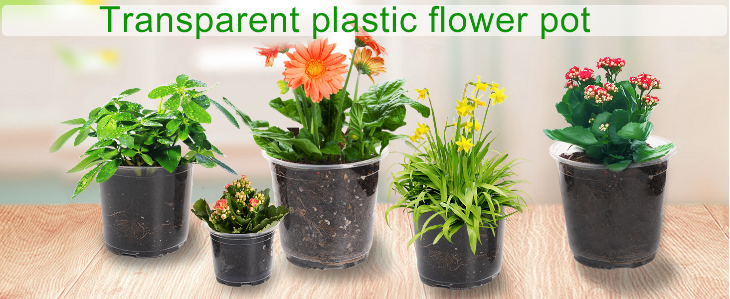 6 Inch Clear Nursery Pots PP Seedling Pots for Plants 30Pcs Transparent Orchid