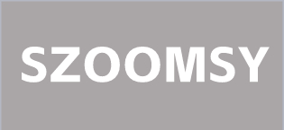 PTZ Camera  camera for church live streaming SZOOMSY