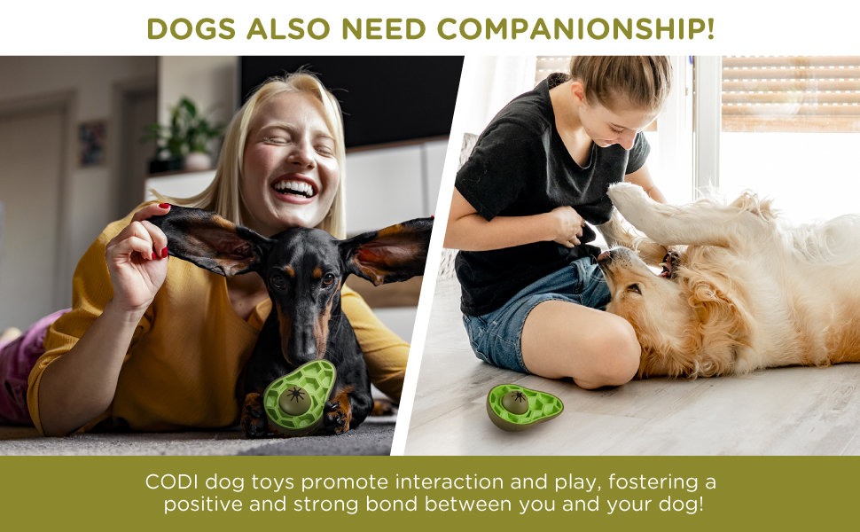 Pet Supplies Codi Dog Chew Toys Funny Puzzle Interactive Puppy Dog