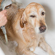 Abdeckungen für Dusche