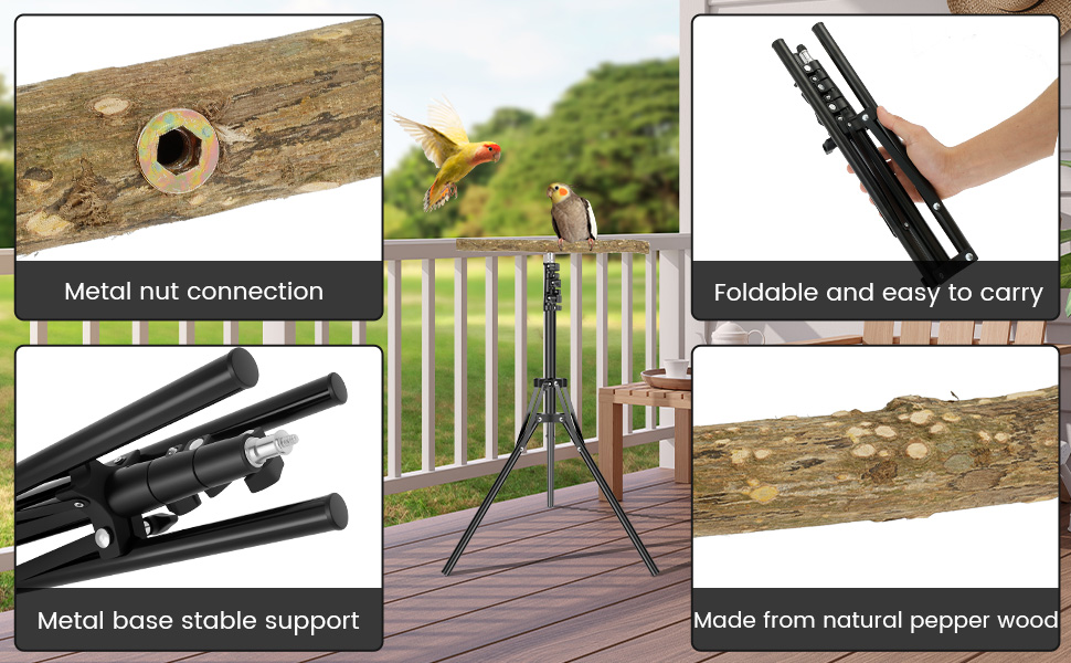 Wood Bird Training Perch Stand