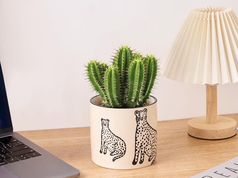 ceramic plant pot for desk