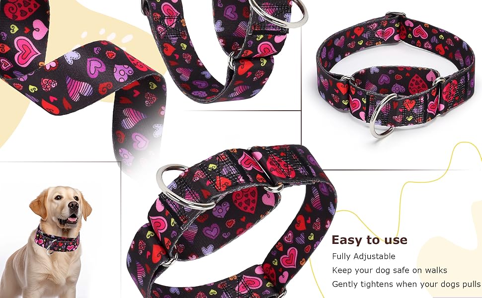 1.5 Inches Wide Martingale Dog Collar, Heavy Duty