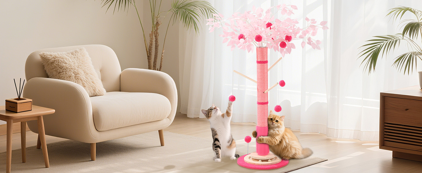 scratching posts for indoor cats adults