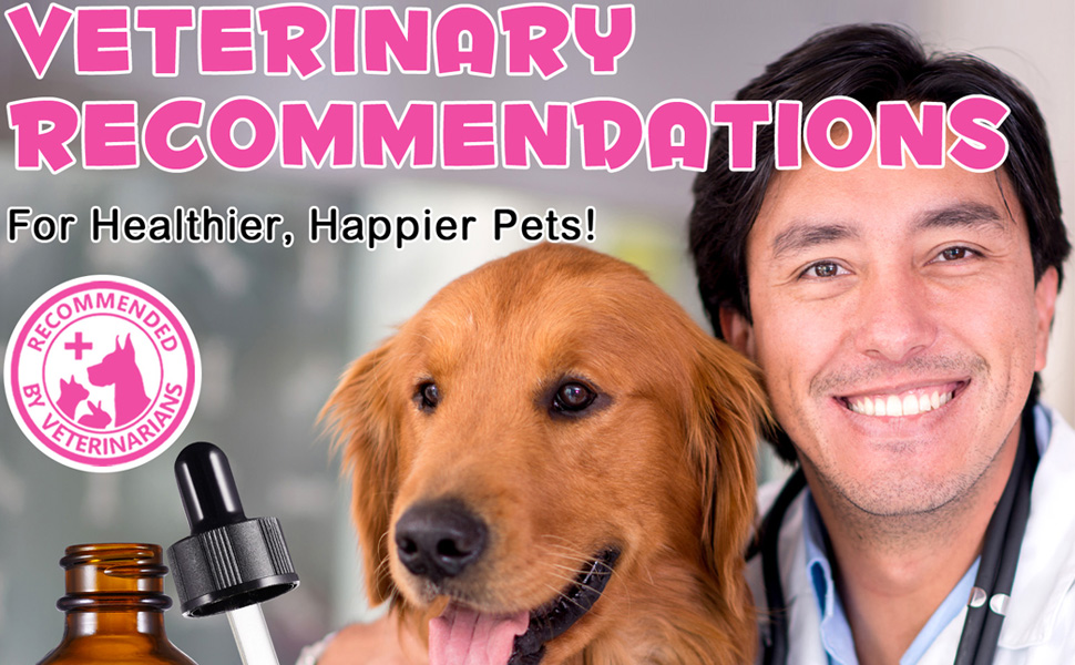 sur les soins vétérinaires mettant en vedette un chien Golden Retriever à côté de fournitures médicales et une superposition de texte rose sur les recommandations relatives à la santé des animaux de compagnie