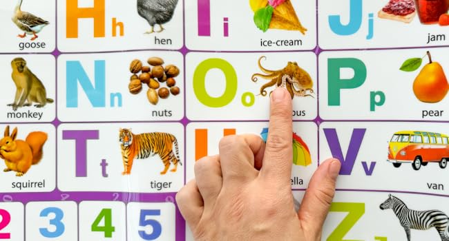 Amazon.com: QUOKKA Alphabet Poster Educational Toy for 3-4