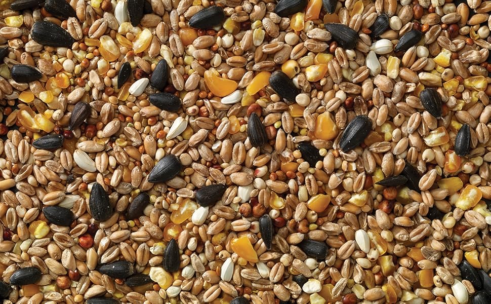 Marriages Wild Bird Food 12.55Kg, All Season Mix, Perfect For Hanging