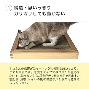 Amazon | nekozuki 猫 爪とぎ 木製 ベッド がりがりボード カスが出