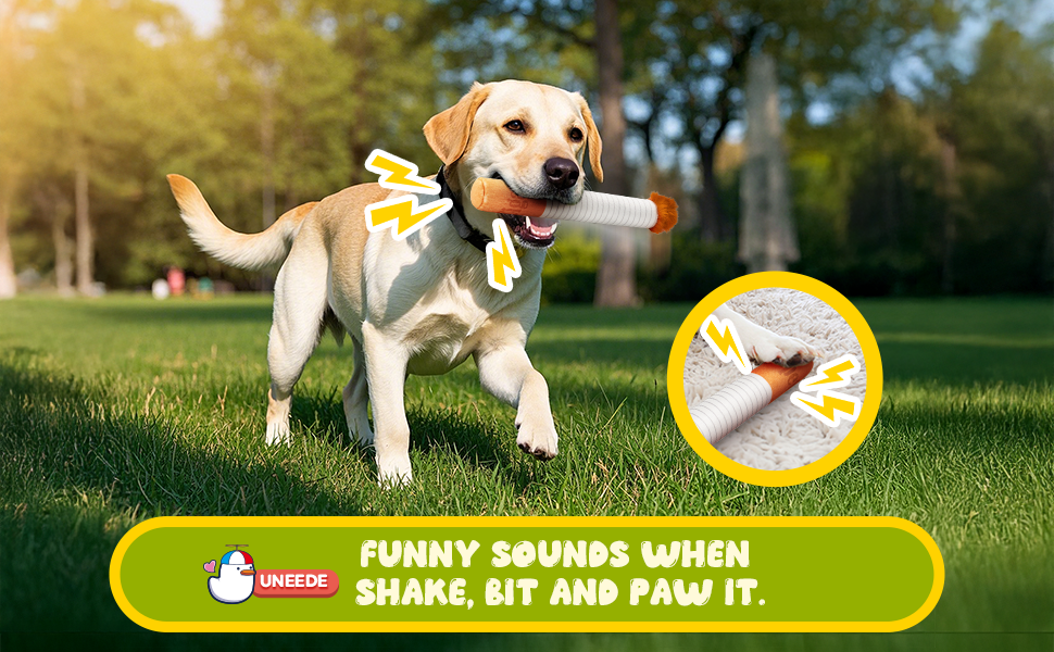 Dog Squeak Toys