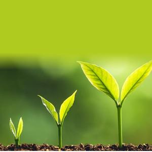 Small manufacture image 6