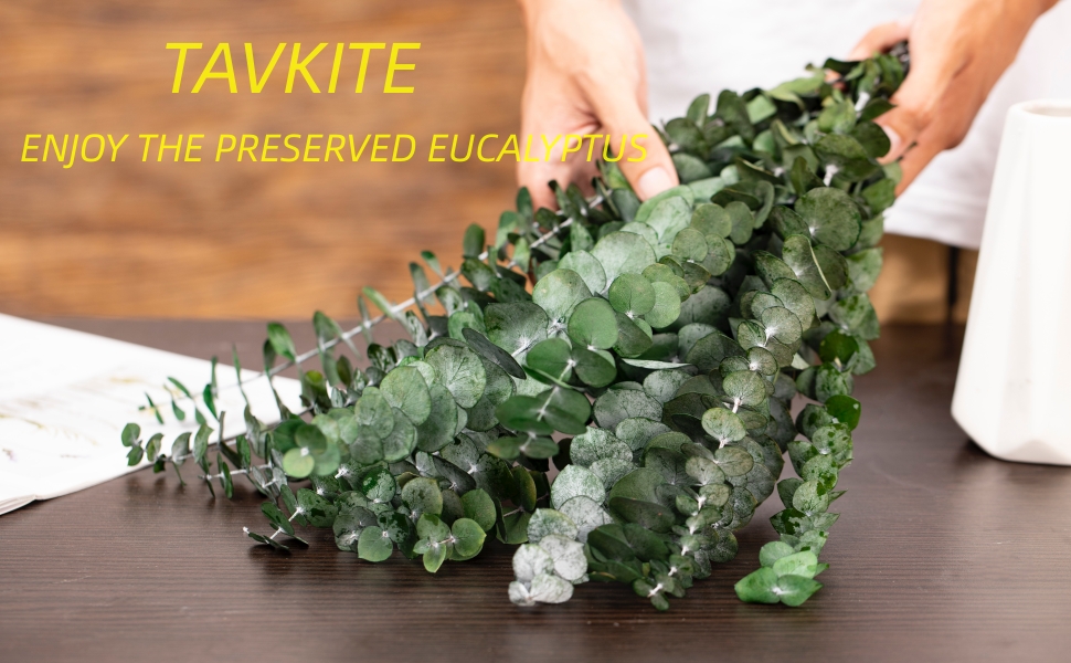 16 Pcs Dried Eucalyptus Stems, 17'' Natural Fresh