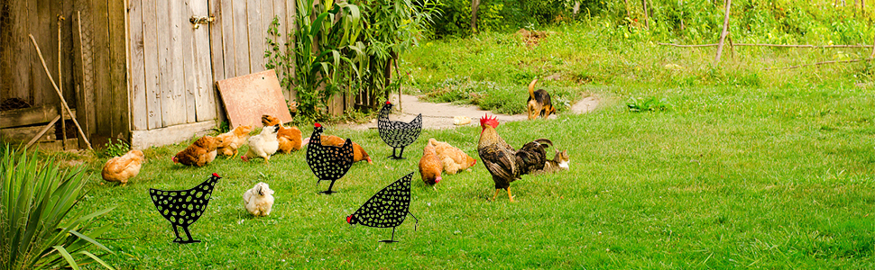 5pcs Chicken Yard Art