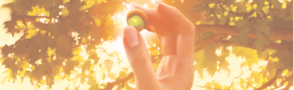 Max Lucado Oak Inside the Acorn