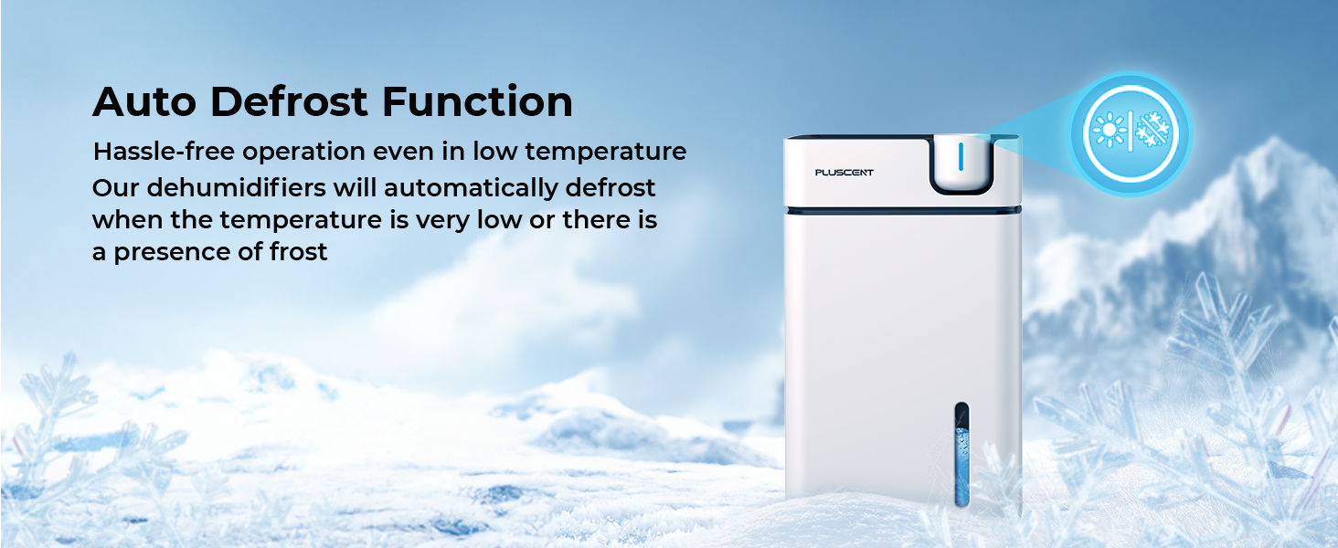 Dehumidifier for basement with automatic defrost function