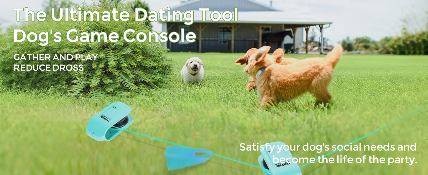 Dog Socializing Tool