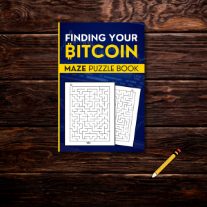 maze book cover
