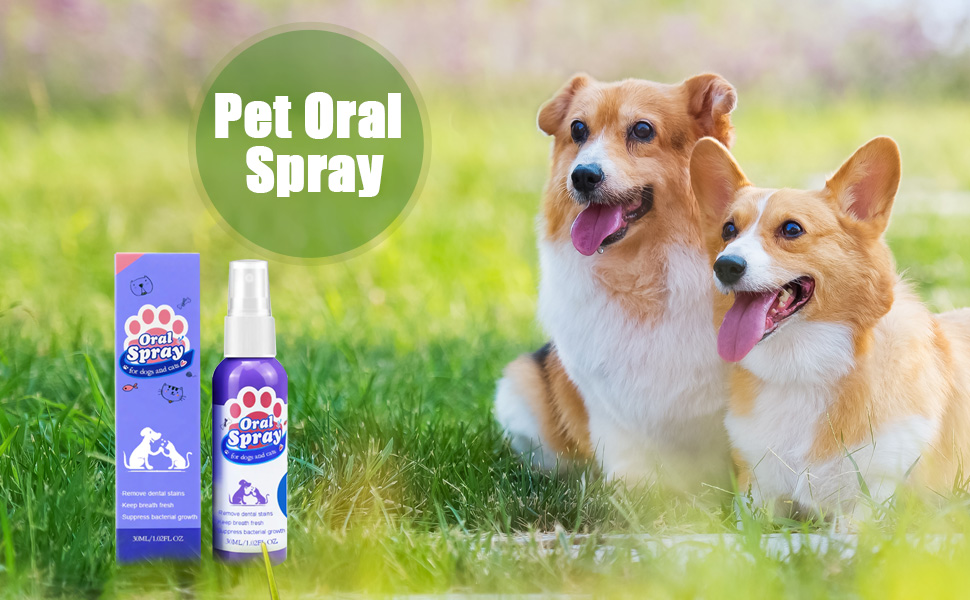 Oral Spray for Dogs Pet Oral Spray, Teeth Cleaning Spray for Dogs