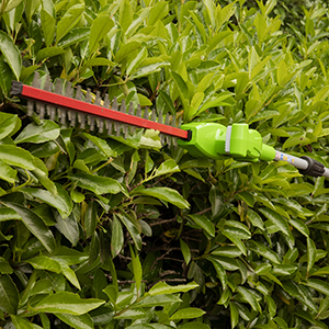 G40PSH Hedge Trimmers
