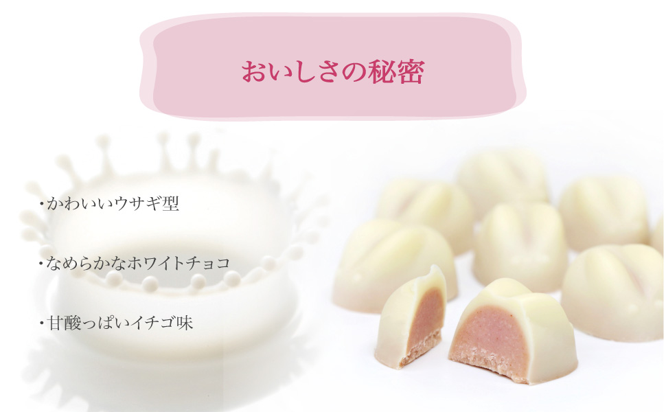 チョコ様　ライト、バード、白うさぎ７点 チョコ様 ライト、バード、白うさぎ7点 チョコ様 ライト