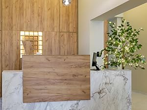 ficus silk tree