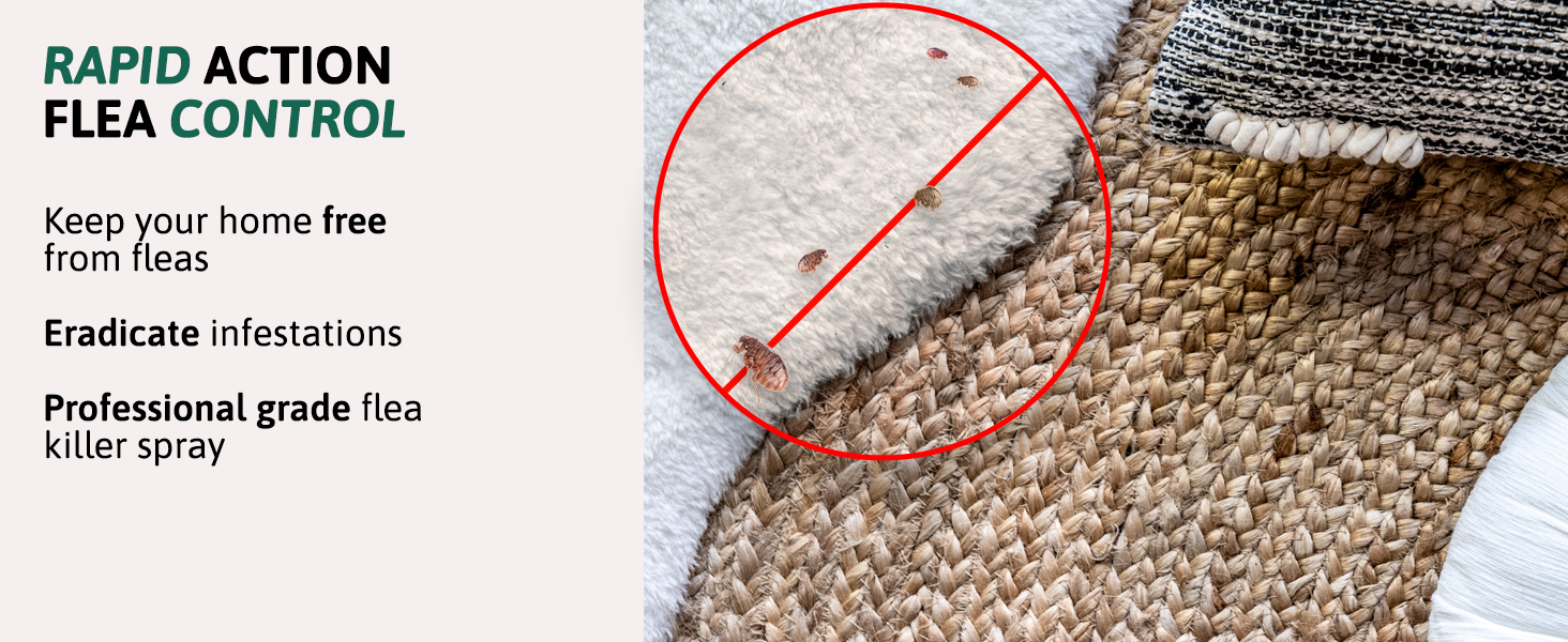 Aviro Flea Spray for The Home Fast Acting Professional Home Flea