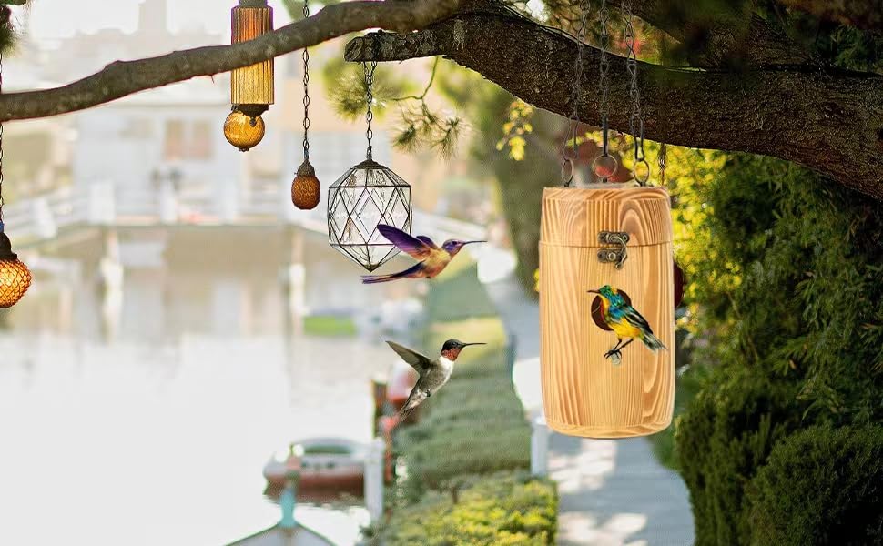 Bird Houses Hanging Hummingbird Houses Wren Bluebird for