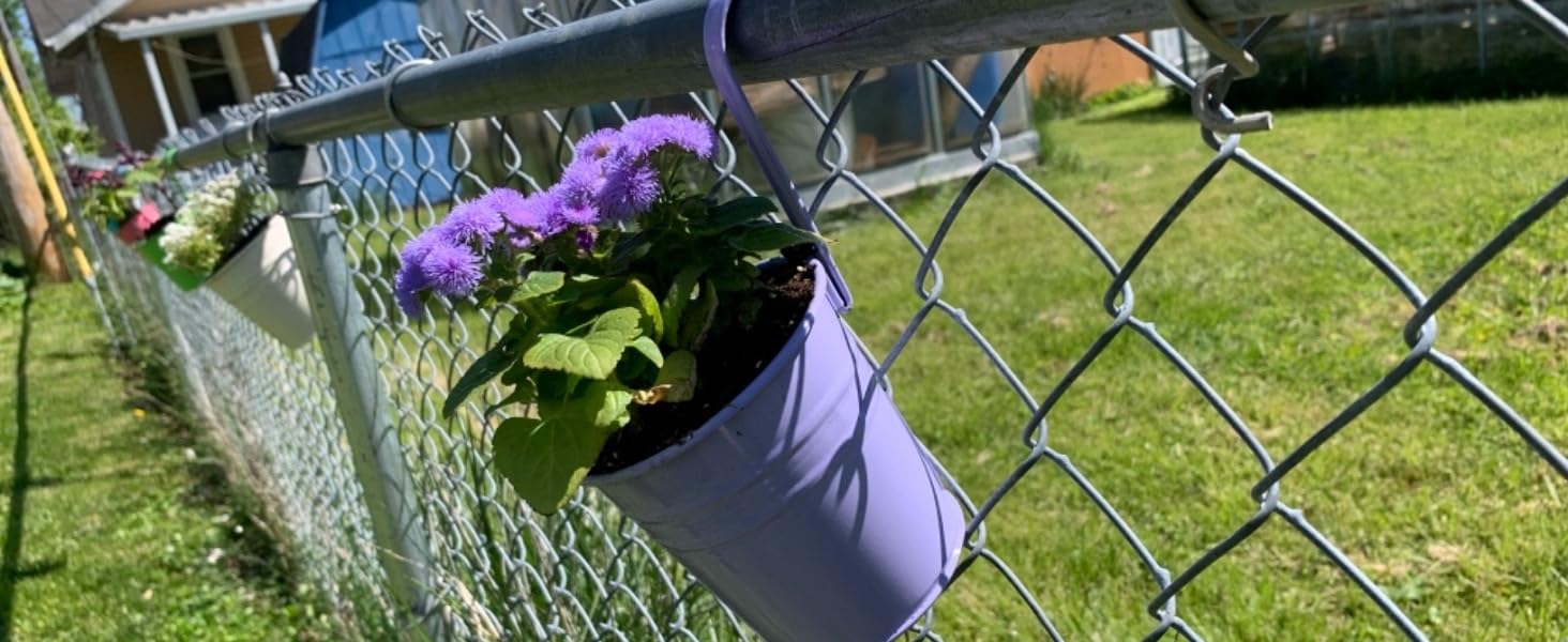 colorful Plant Pots