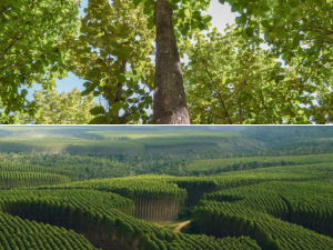 Small manufacture image 4