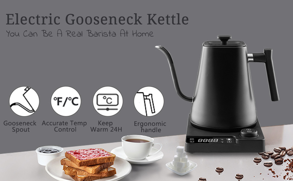 Fityou Gooseneck Electric Kettle with Accurate Temsetting