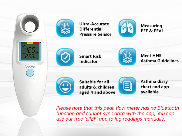 peak flow meter